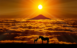 新年のご挨拶と、これからのウェブ環境について